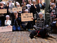 Protesters call for the release of Paul Watson from the Sea Shepherd association in Lyon, France, on September 29, 2024. (