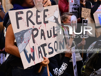 Protesters call for the release of Paul Watson from the Sea Shepherd association in Lyon, France, on September 29, 2024. (