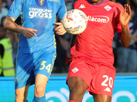 Ardian Ismajli of Empoli FC and Moise Kean of ACF Fiorentina battle for the ball during the Serie A match between Empoli FC and ACF Fiorenti...