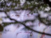 A giant banner featuring a portrait of Lebanon's Hezbollah Secretary General, Hassan Nasrallah, who was killed in an Israeli air strike in a...