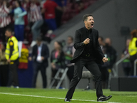 Diego Pablo Cholo Simeone head coach of Atletico de Madrid celebrates his team's goal during the LaLiga match between Atletico de Madrid and...