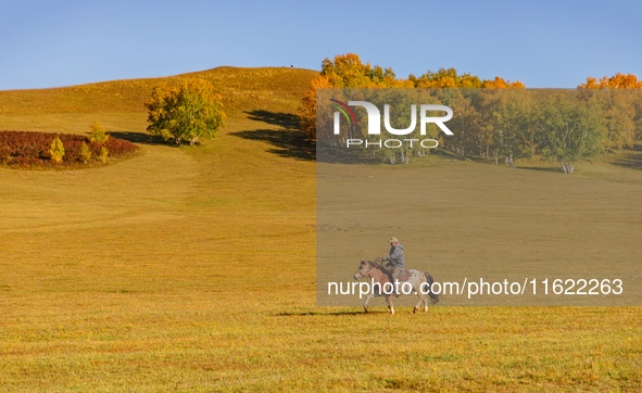 Autumn scenery of Wulan Butong Grassland in Chifeng, China, on September 23, 2024. 