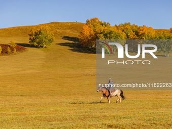 Autumn scenery of Wulan Butong Grassland in Chifeng, China, on September 23, 2024. (