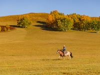 Autumn scenery of Wulan Butong Grassland in Chifeng, China, on September 23, 2024. (