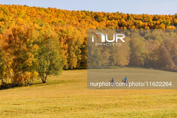 Autumn scenery of Wulan Butong Grassland in Chifeng, China, on September 23, 2024. 