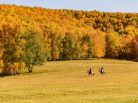 Autumn scenery of Wulan Butong Grassland in Chifeng, China, on September 23, 2024. (