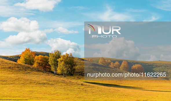 Autumn scenery of Wulan Butong Grassland in Chifeng, China, on September 23, 2024. 