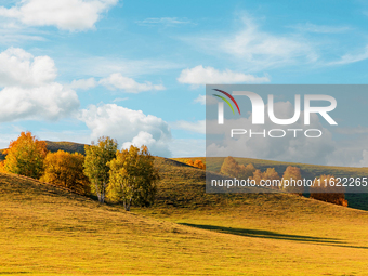 Autumn scenery of Wulan Butong Grassland in Chifeng, China, on September 23, 2024. (