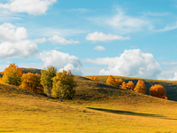 Autumn scenery of Wulan Butong Grassland in Chifeng, China, on September 23, 2024. (