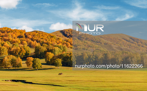 Autumn scenery of Wulan Butong Grassland in Chifeng, China, on September 23, 2024. 