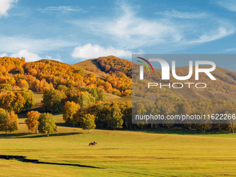 Autumn scenery of Wulan Butong Grassland in Chifeng, China, on September 23, 2024. (