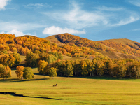 Autumn scenery of Wulan Butong Grassland in Chifeng, China, on September 23, 2024. (