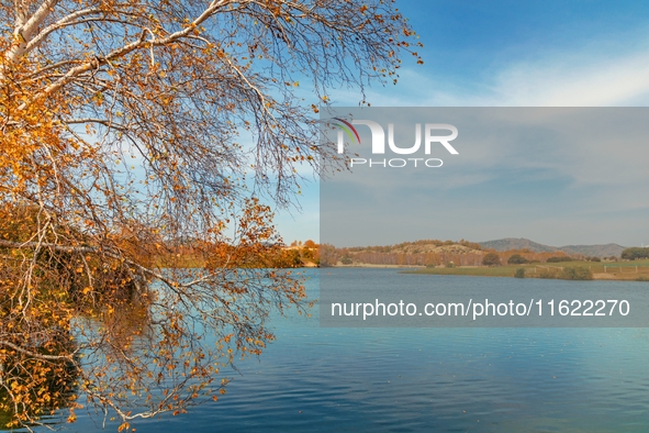 Autumn scenery of Wulan Butong Grassland in Chifeng, China, on September 23, 2024. 