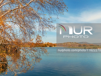 Autumn scenery of Wulan Butong Grassland in Chifeng, China, on September 23, 2024. (