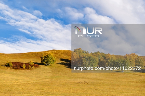 Autumn scenery of Wulan Butong Grassland in Chifeng, China, on September 23, 2024. 