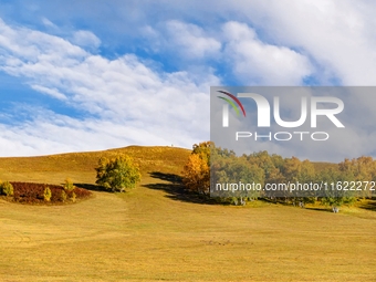 Autumn scenery of Wulan Butong Grassland in Chifeng, China, on September 23, 2024. (