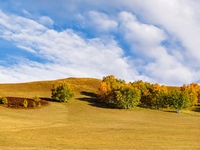 Autumn scenery of Wulan Butong Grassland in Chifeng, China, on September 23, 2024. (