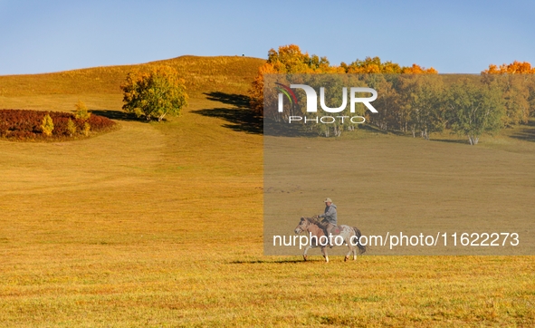 Autumn scenery of Wulan Butong Grassland in Chifeng, China, on September 23, 2024. 