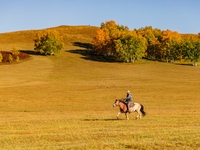 Autumn scenery of Wulan Butong Grassland in Chifeng, China, on September 23, 2024. (