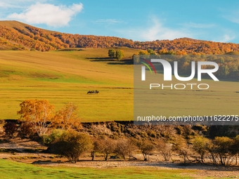 Autumn scenery of Wulan Butong Grassland in Chifeng, China, on September 23, 2024. (