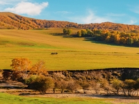 Autumn scenery of Wulan Butong Grassland in Chifeng, China, on September 23, 2024. (