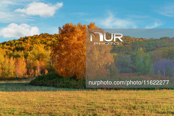 Autumn scenery of Wulan Butong Grassland in Chifeng, China, on September 23, 2024. 