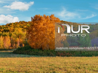 Autumn scenery of Wulan Butong Grassland in Chifeng, China, on September 23, 2024. (