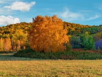 Autumn scenery of Wulan Butong Grassland in Chifeng, China, on September 23, 2024. (