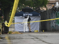 Crime scene investigators use evidence markers to mark the scene where a 29-year-old man is fatally shot in the head at East 182nd Street an...