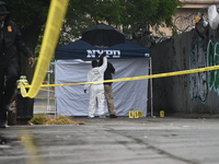 Crime scene investigators use evidence markers to mark the scene where a 29-year-old man is fatally shot in the head at East 182nd Street an...