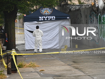 Crime scene investigators use evidence markers to mark the scene where a 29-year-old man is fatally shot in the head at East 182nd Street an...