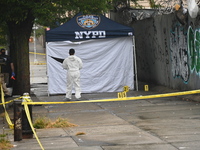 Crime scene investigators use evidence markers to mark the scene where a 29-year-old man is fatally shot in the head at East 182nd Street an...