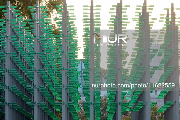 The ''beer jungle'' shines under the golden autumn sun at Tangdao Bay in the West Coast New Area of Qingdao, China, on September 28, 2024. 