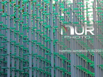 The ''beer jungle'' shines under the golden autumn sun at Tangdao Bay in the West Coast New Area of Qingdao, China, on September 28, 2024. (