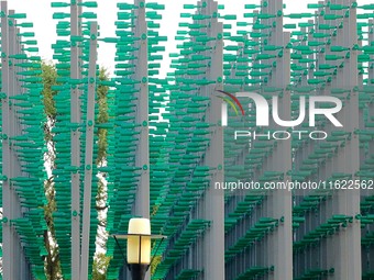 The ''beer jungle'' shines under the golden autumn sun at Tangdao Bay in the West Coast New Area of Qingdao, China, on September 28, 2024. (