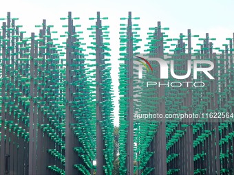 The ''beer jungle'' shines under the golden autumn sun at Tangdao Bay in the West Coast New Area of Qingdao, China, on September 28, 2024. (