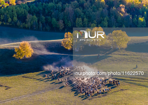 Tourists watch a Ten Thousand Steeds Gallop performance at Ulan Butong Grassland in Chifeng, China, on September 25, 2024. 