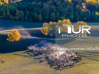 Tourists watch a Ten Thousand Steeds Gallop performance at Ulan Butong Grassland in Chifeng, China, on September 25, 2024. (