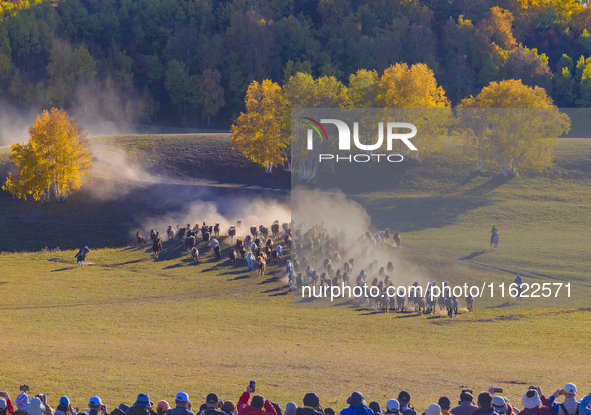 Tourists watch a Ten Thousand Steeds Gallop performance at Ulan Butong Grassland in Chifeng, China, on September 25, 2024. 