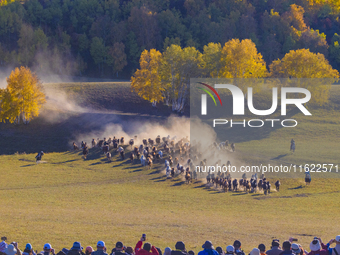 Tourists watch a Ten Thousand Steeds Gallop performance at Ulan Butong Grassland in Chifeng, China, on September 25, 2024. (