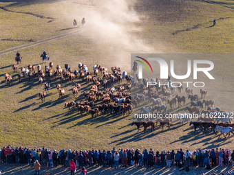 Tourists watch a Ten Thousand Steeds Gallop performance at Ulan Butong Grassland in Chifeng, China, on September 25, 2024. (