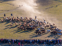 Tourists watch a Ten Thousand Steeds Gallop performance at Ulan Butong Grassland in Chifeng, China, on September 25, 2024. (