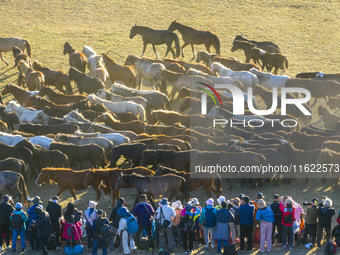 Tourists watch a Ten Thousand Steeds Gallop performance at Ulan Butong Grassland in Chifeng, China, on September 25, 2024. (