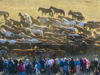 Tourists watch a Ten Thousand Steeds Gallop performance at Ulan Butong Grassland in Chifeng, China, on September 25, 2024. (