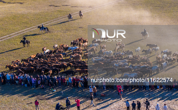 Tourists watch a Ten Thousand Steeds Gallop performance at Ulan Butong Grassland in Chifeng, China, on September 25, 2024. 