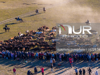 Tourists watch a Ten Thousand Steeds Gallop performance at Ulan Butong Grassland in Chifeng, China, on September 25, 2024. (