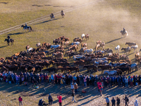 Tourists watch a Ten Thousand Steeds Gallop performance at Ulan Butong Grassland in Chifeng, China, on September 25, 2024. (