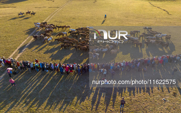 Tourists watch a Ten Thousand Steeds Gallop performance at Ulan Butong Grassland in Chifeng, China, on September 25, 2024. 