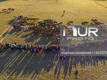 Tourists watch a Ten Thousand Steeds Gallop performance at Ulan Butong Grassland in Chifeng, China, on September 25, 2024. (