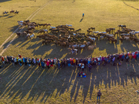 Tourists watch a Ten Thousand Steeds Gallop performance at Ulan Butong Grassland in Chifeng, China, on September 25, 2024. (